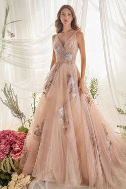 Style CDA0893 Andrea and Leo Pink Size 2 Prom Floor Length Ball gown on Queenly