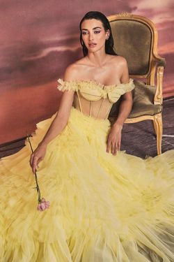 Style CDA1150 Andrea and Leo Yellow Size 4 Corset Floor Length Pageant Sheer Ball gown on Queenly