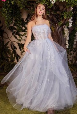 Style CDA1050 Andrea and Leo Blue Size 14 Tall Height Lace Tulle Ball gown on Queenly
