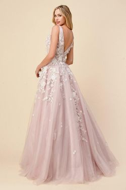 Style CDA1028 Andrea and Leo Pink Size 2 Sheer Floor Length Ball gown on Queenly