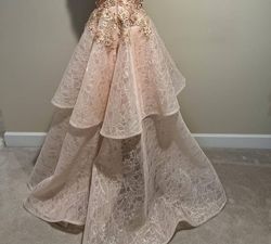 Style 1-2891234734-397 Christophe Guillarme Pink Size 14 Tall Height Ball Gown Free Shipping Straight Dress on Queenly
