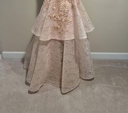Style 1-2891234734-397 Christophe Guillarme Pink Size 14 Coral Ball Gown Floor Length Straight Dress on Queenly