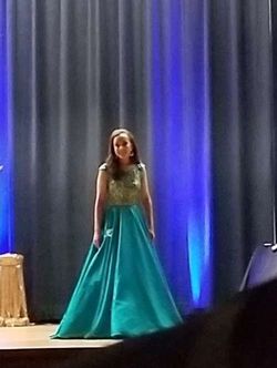 Sherri Hill Blue Size 00 Floor Length Jersey Pageant Ball gown on Queenly