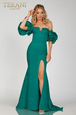 Style 231P0181 Terani Couture Green Size 10 Sleeves Straight Floor Length Side slit Dress on Queenly