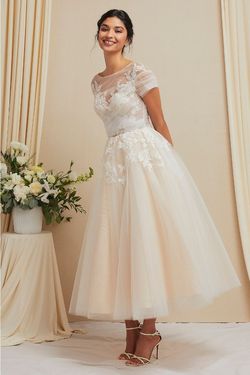 Style 1 Bicici & Coty Nude Size 12 Floor Length Tulle Sleeves Bridgerton A-line Dress on Queenly