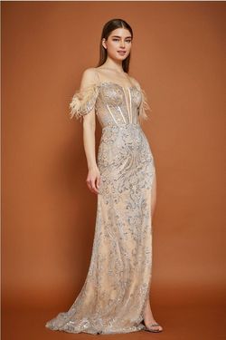 Style DA2203 Bicici & Coty Nude Size 4 Feather Bicici And Coty Tall Height Floor Length Side slit Dress on Queenly