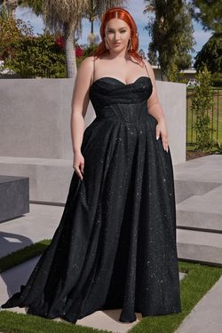 Cinderella Divine Black Size 24 Military Plus Size Prom Floor Length A-line Dress on Queenly