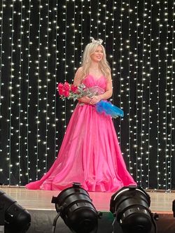 Rachel Allan Pink Size 0 Prom Pageant Jersey Floor Length Ball gown on Queenly