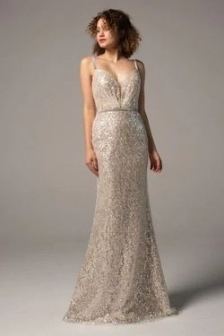 Style Tiana Cocomelody Silver Size 14 V Neck Sequined Plus Size Floor Length Straight Dress on Queenly