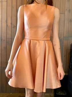Alyce Paris Pink Size 4 Sunday Prom Free Shipping Jersey Cocktail Dress on Queenly