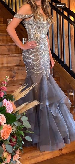 Lucci Lu Gray Size 4 Medium Height Floor Length Free Shipping Mermaid Dress on Queenly