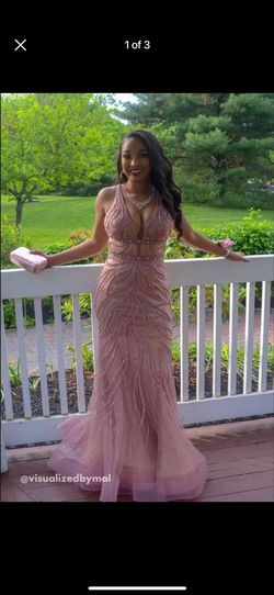Alyce Paris Pink Size 6 Floor Length Mermaid Dress on Queenly