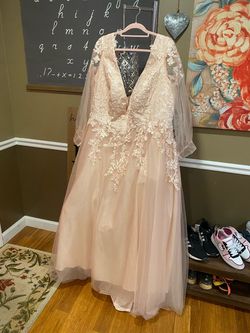 Nude Size 24 Ball gown on Queenly