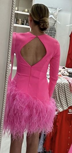 Ashley Lauren Pink Size 12 Long Sleeve Nightclub Pageant Jersey Cocktail Dress on Queenly