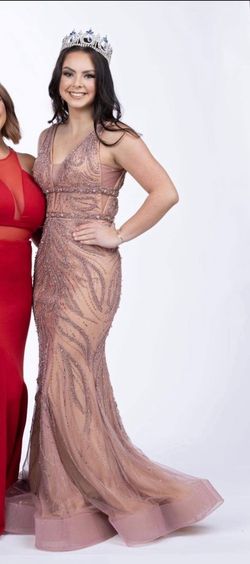Alyce Paris Pink Size 4 Medium Height Pageant Floor Length Mermaid Dress on Queenly