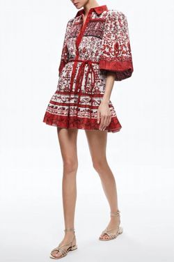 Style 1-2786740633-1498 alice + olivia Red Size 4 Mini High Neck Cocktail Dress on Queenly