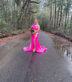 Style 11026 Ashley Lauren Pink Size 16 Prom Plus Size Sequined Floor Length Train Dress on Queenly