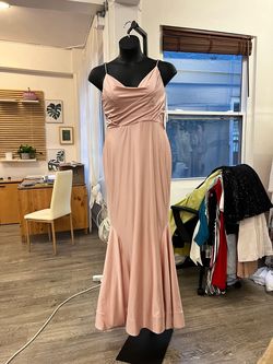 Style 2007 Bari Jay Pink Size 12 Mermaid Dress on Queenly