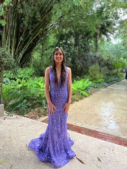 Ashley Lauren Purple Size 0 Floor Length Plunge Jersey A-line Dress on Queenly