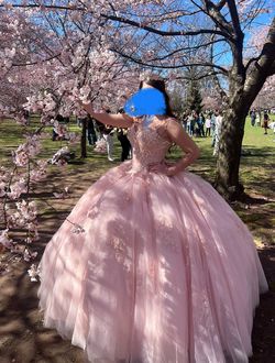 Pink Size 6 Ball gown on Queenly