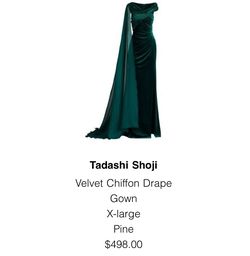 Tadashi Shoji Green Size 16 Floor Length Plus Size Wedding Guest 50 Off Ball gown on Queenly