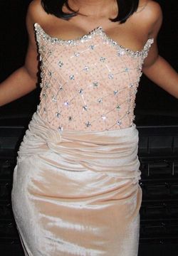 Minna Fashion Nude Size 4 Floor Length Prom Free Shipping Mermaid Dress on Queenly
