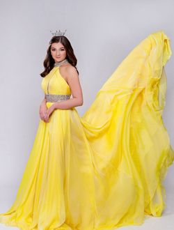 Rachel Allan Yellow Size 2 Medium Height High Neck Ball gown on Queenly