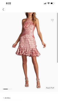 Tadashi Shoji Pink Size 0 Prom 50 Off Straight Dress on Queenly