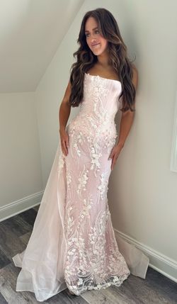 Cesar Solorzano Pink Size 2 Floor Length Custom Straight Dress on Queenly