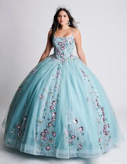 Style Q105 Nina Canacci Multicolor Size 4 Floor Length Jewelled Q105 Ball gown on Queenly