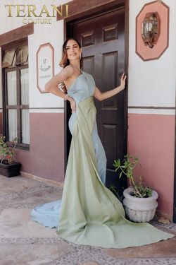 Style 232E1276 Terani Couture Green Size 12 232e1276 Floor Length Tall Height Mermaid Dress on Queenly
