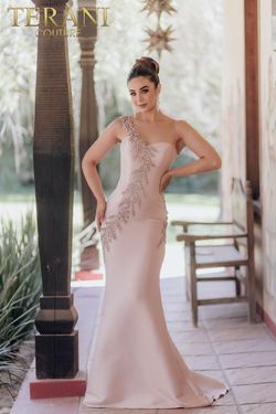 Style 232E1231 Terani Couture Pink Size 14 232e1231 Plus Size Tall Height Mermaid Dress on Queenly