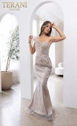 Style 241E2485 Terani Couture Gray Size 18 241e2485 Tall Height Mermaid Dress on Queenly