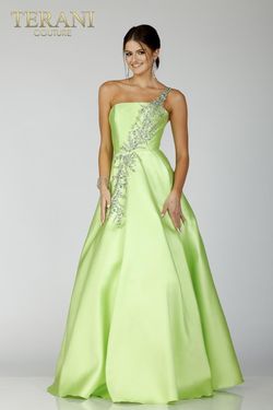Style 231P0175 Terani Couture Green Size 16 Floor Length Tall Height Ball gown on Queenly