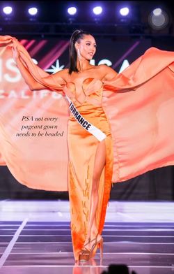 Bessie Bessana Orange Size 4 Pageant Side slit Dress on Queenly